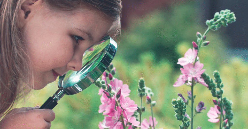 Reality of Curiosity